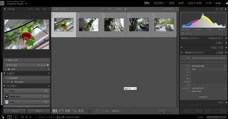 lr版本对比,精细设计策略-试用版_v9.921