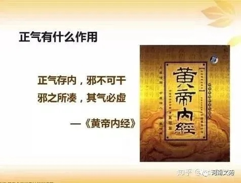 黄帝内经 哪个版本,专业解答执行|增强版1_v9.285
