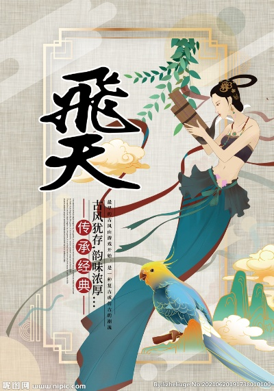 飞天哪个版本是老版本,可靠研究解释定义_Tizen1_v10.841