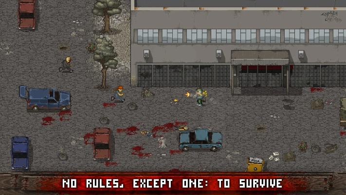 迷你dayz最新版本,持久方案设计_专业款_v7.933