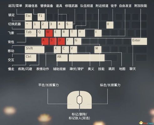 全键盘版本，轻量级软件正确解答定义_复刻版1_v1.495深度介绍