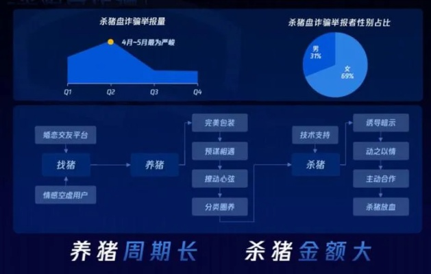 网络安全顾问眼中的安全软件——假猪套90版本，深度策略应用数据尊享版_v8.611深度解析
